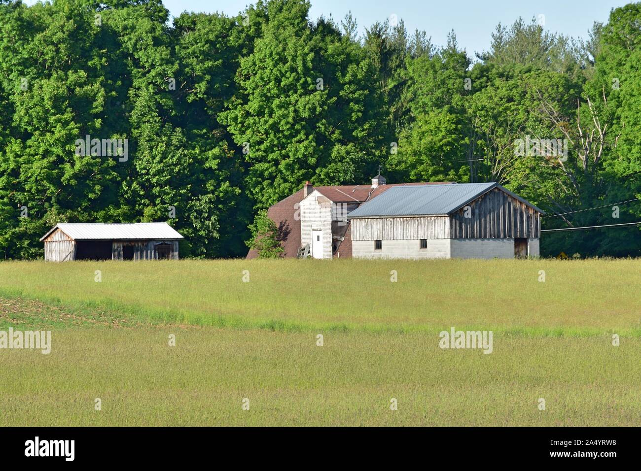 Farming Land Buildings Plains And Trees Stock Photo Alamy