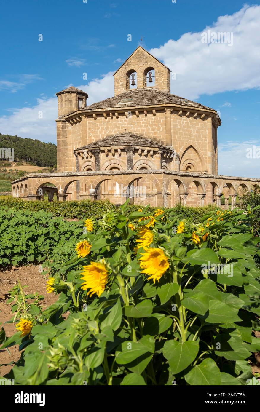 Sunflower field and Church of Saint Mary of Eunate, Iglesia de Santa