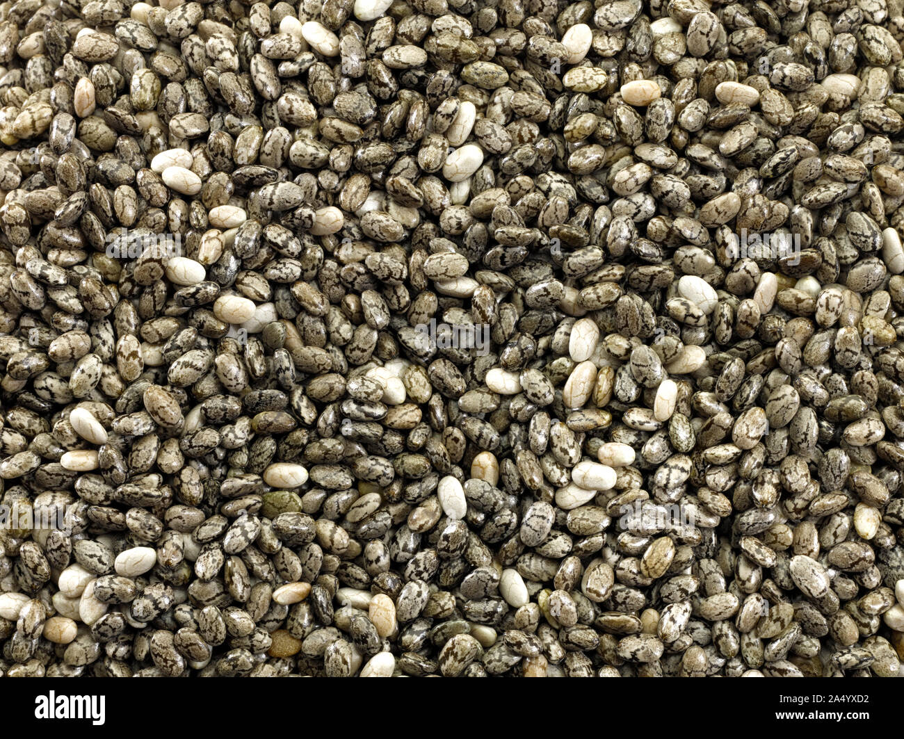 Chia Seeds Stock Photo