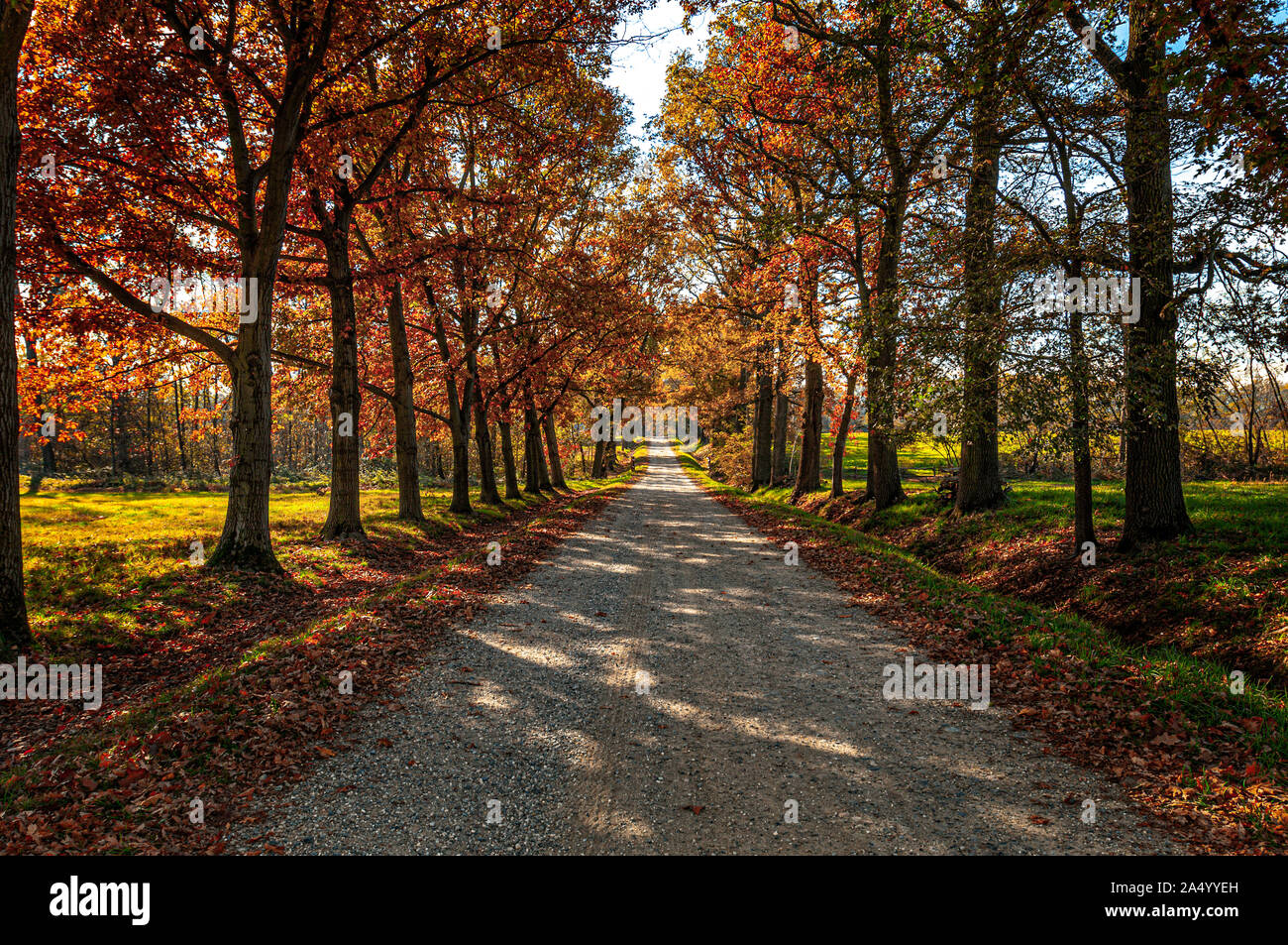 Italy Piedmont Venaria Reale La Mandria Regional park - autumn Stock Photo