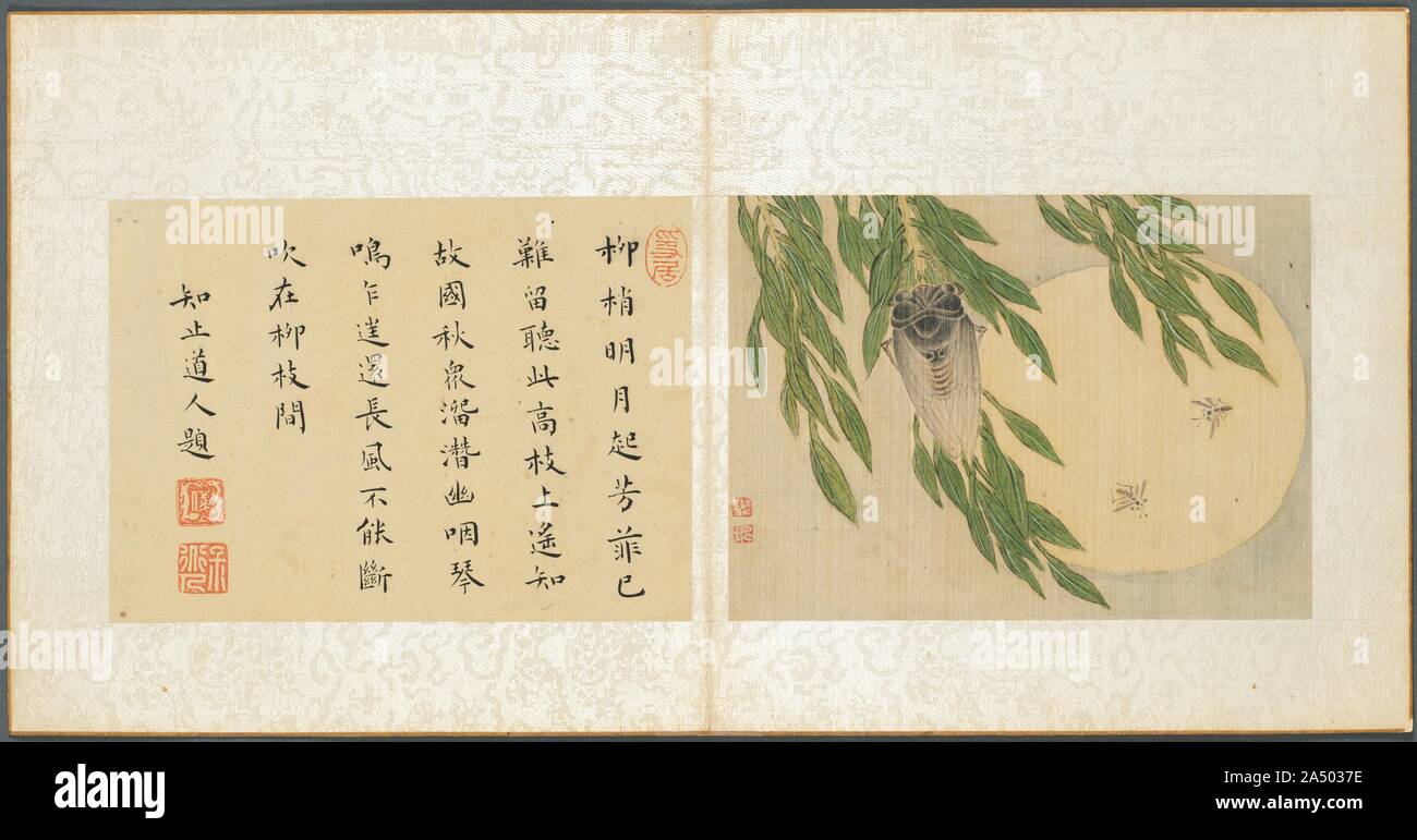 Album of Miscellaneous Subjects, Leaf 6, 1600s. Leaf 6 Zhou Yi's colophon reads: The bright moon emerges through the willow, The fragrance of flowers is already difficult to retain. Listening above these tall branches, I sense that faraway in my native place autumn has arrived. Obstructed, all the diminished waters flow, Abruptly the sound of a lute wafts to and fro. A strong wind, unabated, blows among the willow branches. Stock Photo