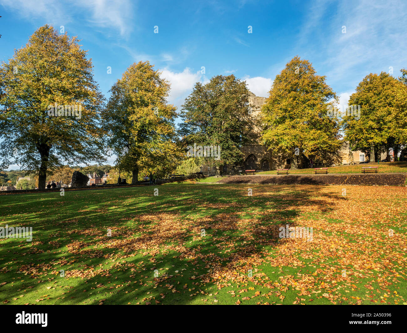 Autumn leaves on the bowling green in the Castle Grounds at Knaresborough North Yorkshire England Stock Photo