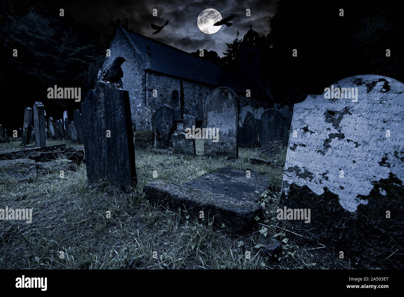 Horror background hi-res stock photography and images - Alamy