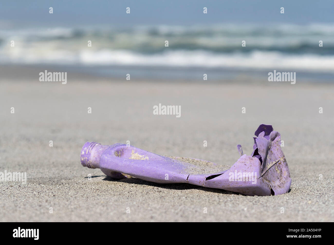 Plastic waste on West coast beach, West Coast national park, Western Cape, South Africa Stock Photo