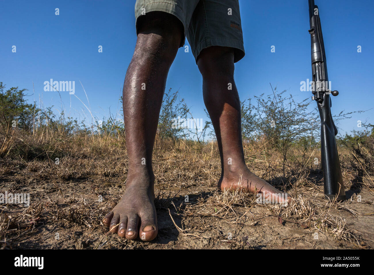 Nunu Jobe, Isibindi Africa trails founder, leading bush walk barefoot,  Hluhuwe-iMfolozi Game Reserve, KwaZulu-Natal, South Africa Stock Photo