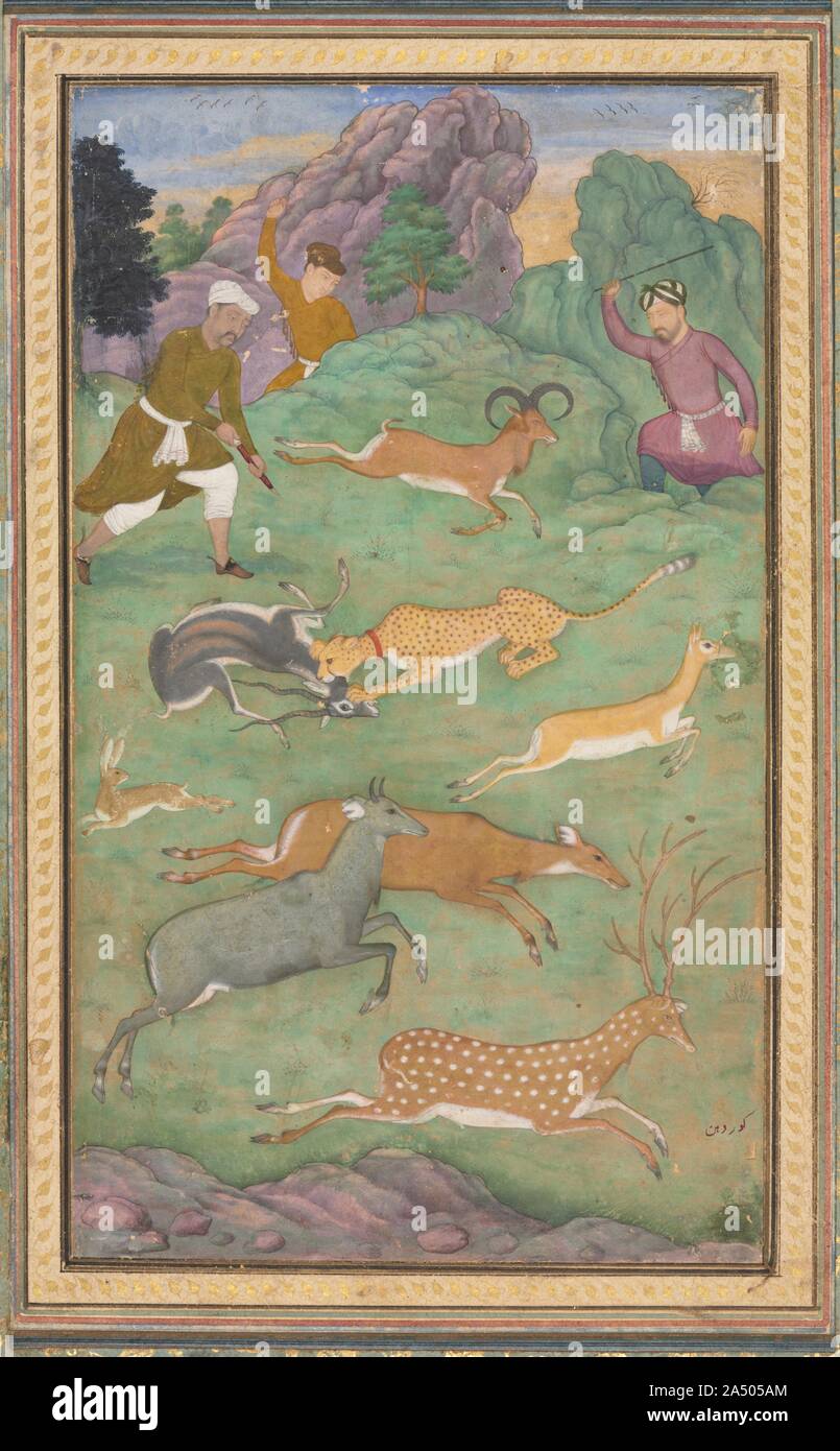 Antelope and deer hunt, c. 1602-1604. The Mughals used trained cheetahs to capture prey during hunting expeditions in the wilderness. The metaphor of the hunt was also a potent image in Persian literature, in which the protagonist finally achieves a desired goal. The central image of the cheetah catching the black antelope&#x2014;a frequently repeated visual trope&#x2014;resonates with the desire of Prince Salim (who was passionate about hunting) to capture the throne of the Mughal Empire from Akbar, his father. Between 1600 and 1605, when Prince Salim set up his own royal court in defiance of Stock Photo