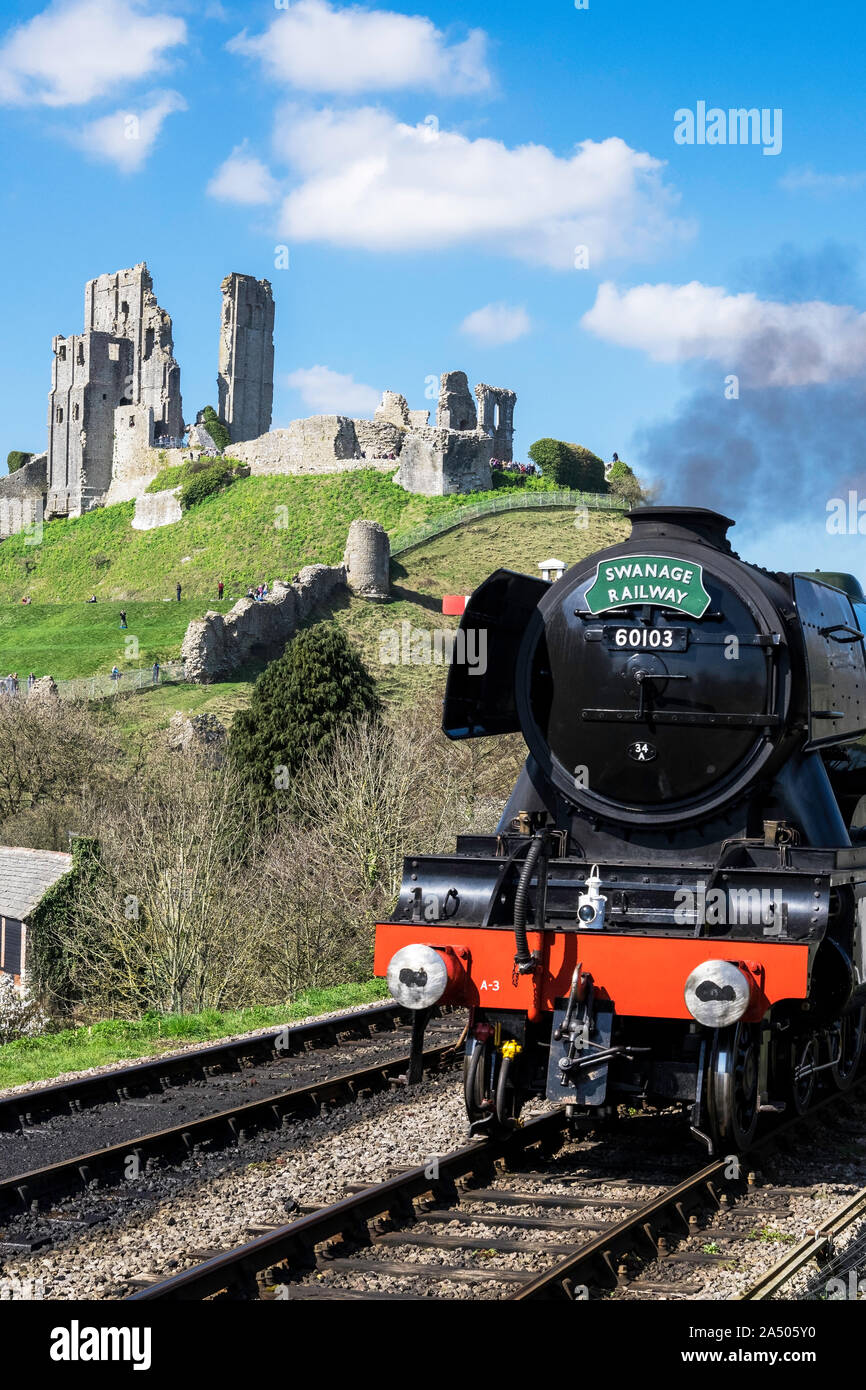 Flying Scotsman and Corfe Castle in Dorset, UK Stock Photo