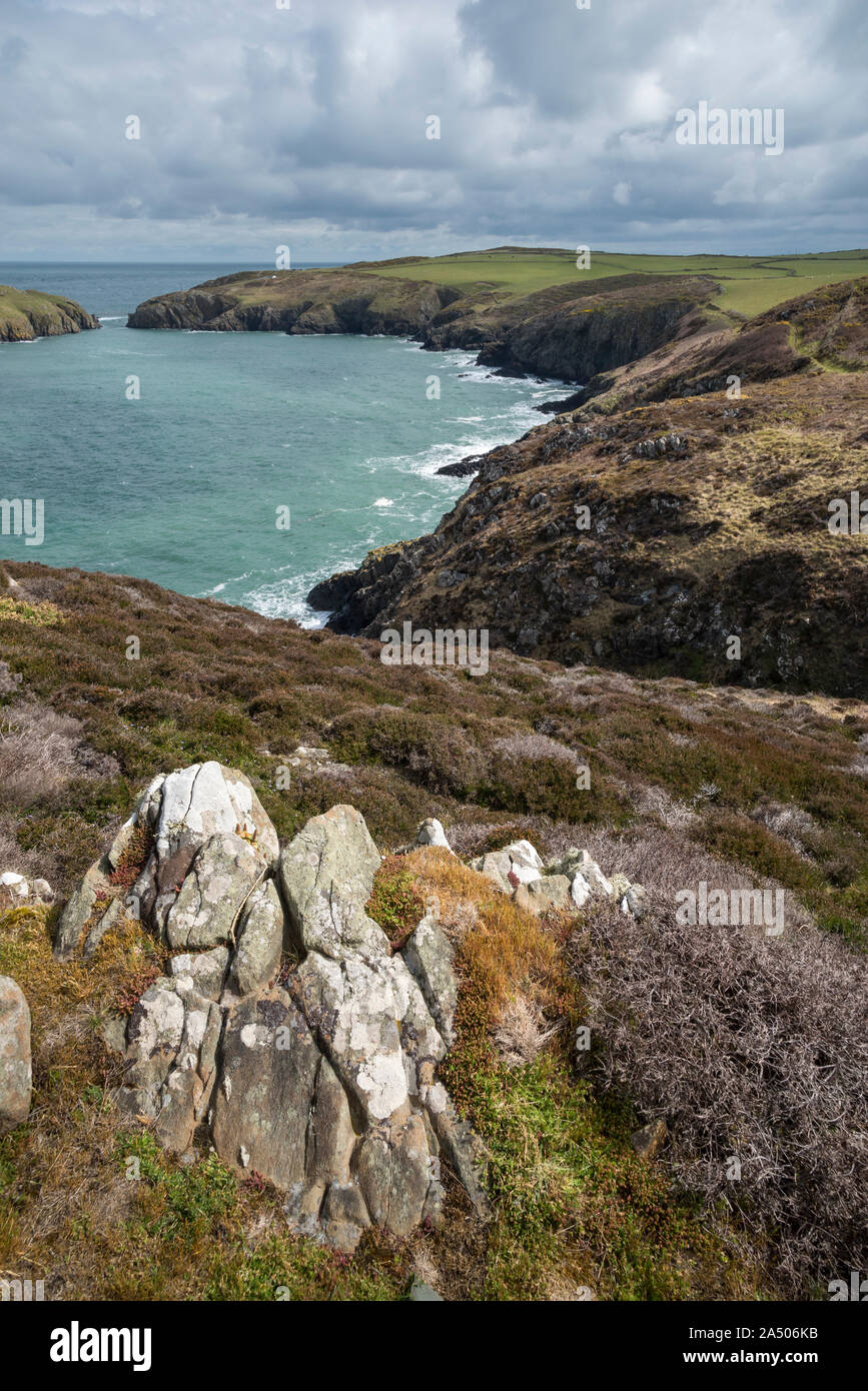 Strumble Head near Fishguard in the Pembrokeshire coast national park, Wales. Stock Photo