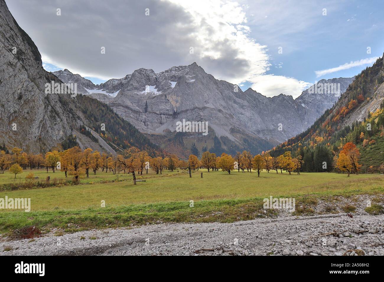 Eng, Austria 14.10. 2019: Impressions Grosser Ahornboden - 14.10.2019 Grosser Ahornboden in the Engtal. At the end of the valley the village of Eng in Tyrol, surrounded by the Karwendel mountains of Eiskarlspitze and Spritzkarspitze, the trademark is the numerous maple trees | usage worldwide Stock Photo