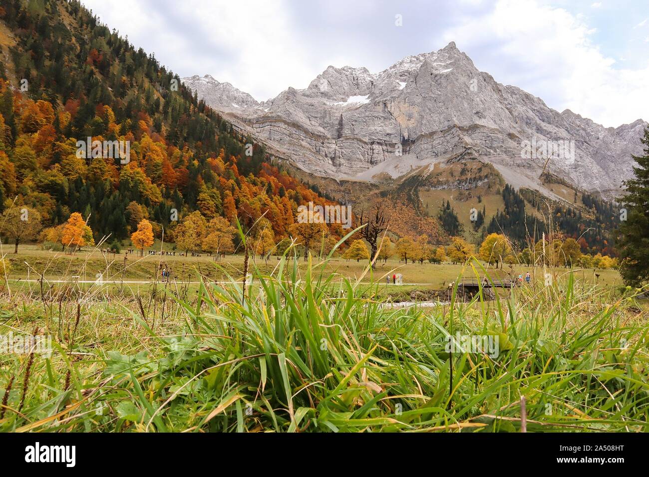 Eng, Austria 14.10. 2019: Impressions Grosser Ahornboden - 14.10.2019 Grosser Ahornboden in the Engtal. At the end of the valley the village of Eng in Tyrol, surrounded by the Karwendel mountains of Eiskarlspitze and Spritzkarspitze, the trademark is the numerous maple trees | usage worldwide Stock Photo