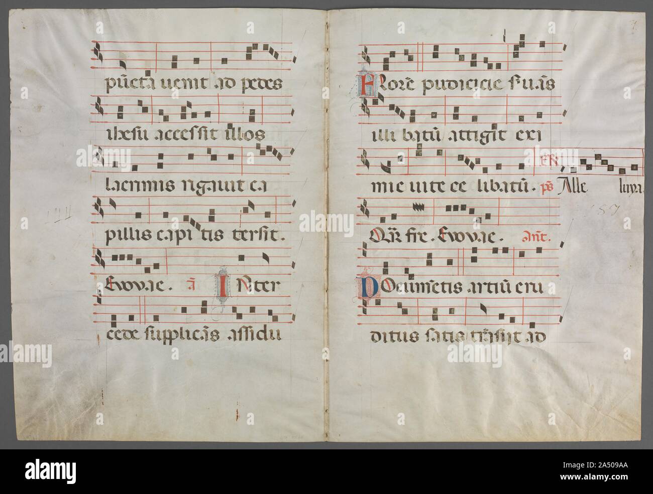 Bifolium from an Antiphonary: Music, c. 1320-1340. The representation of Saint Dominic (1170-1221), founder of the Dominican Order of Preachers, in this initial suggests that this double page was at one time part of a manuscript made for a Dominican convent. Saint Dominic traveled much, preaching throughout Europe, and was particularly venerated in Bologna, the city in which he died and was buried. The illuminator of this initial is named after a volume he decorated of Seneca&#x2019;s works (now in the Biblioth&#xe8;que nationale in Paris). His workshop specialized in large-scale manuscripts d Stock Photo