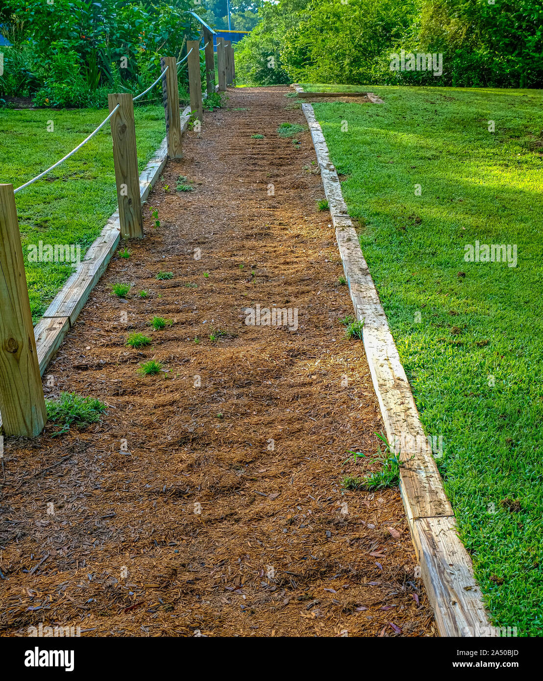 Mulch Walking Path Stock Photo Alamy