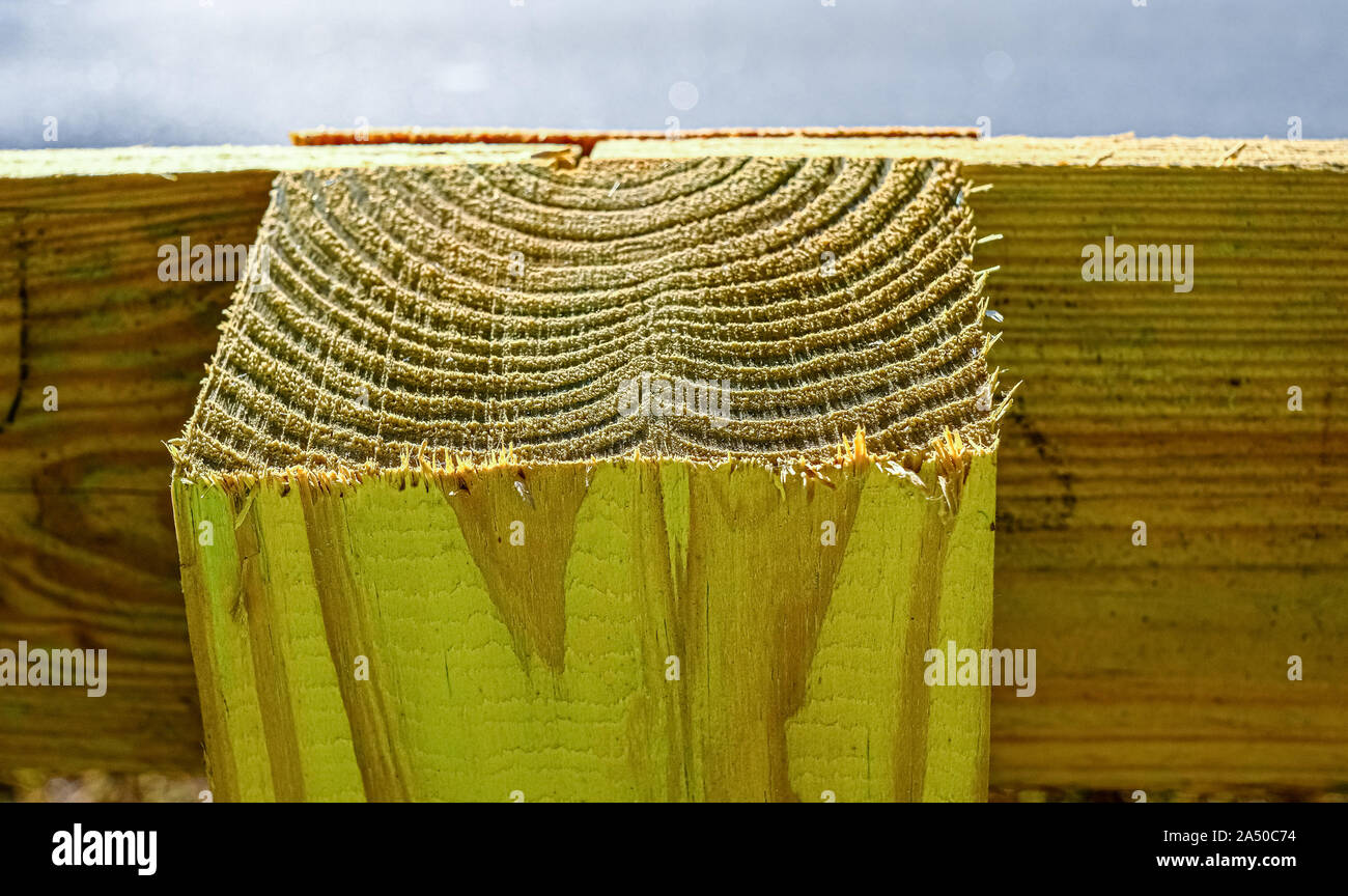 Saw Marks on Wood Stock Photo Alamy