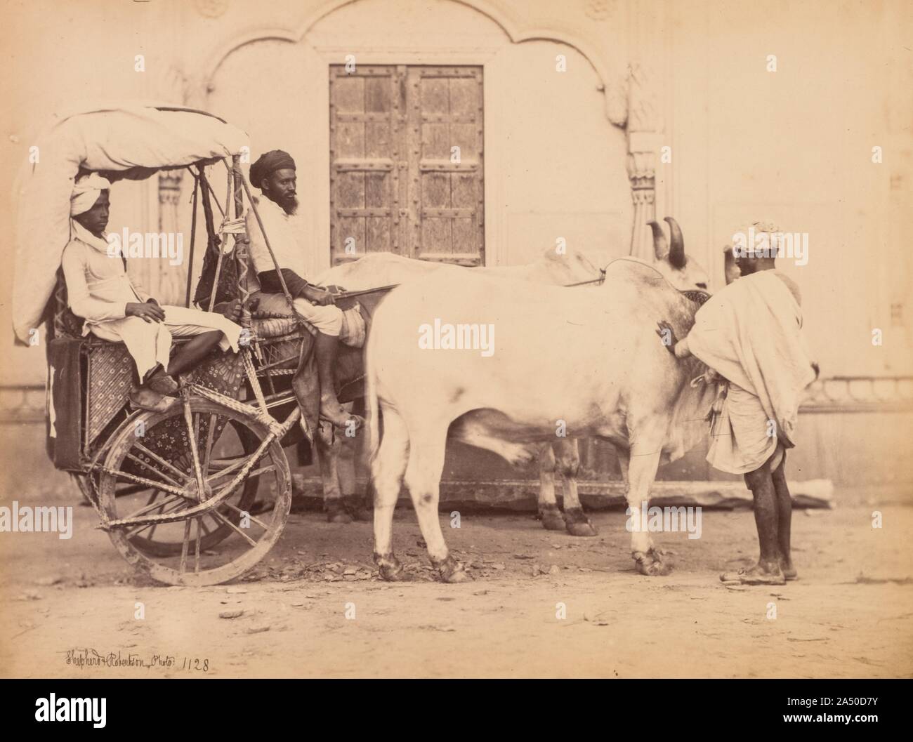 Bullock Cart, Delhi, 1863. Stock Photo