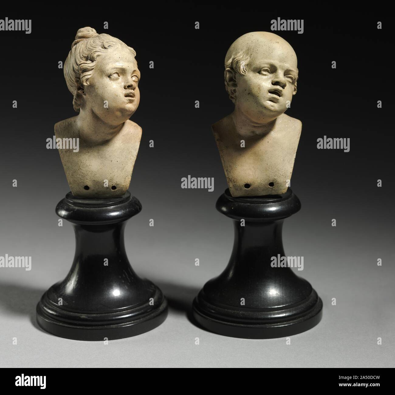 Detailed features hi-res stock photography and images - Alamy