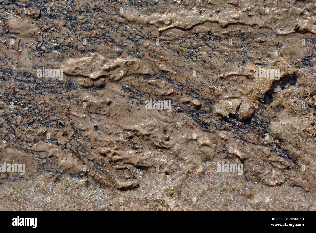 Dirty wet sand on asphalt, grunge horizontal shabby background detail close up Stock Photo