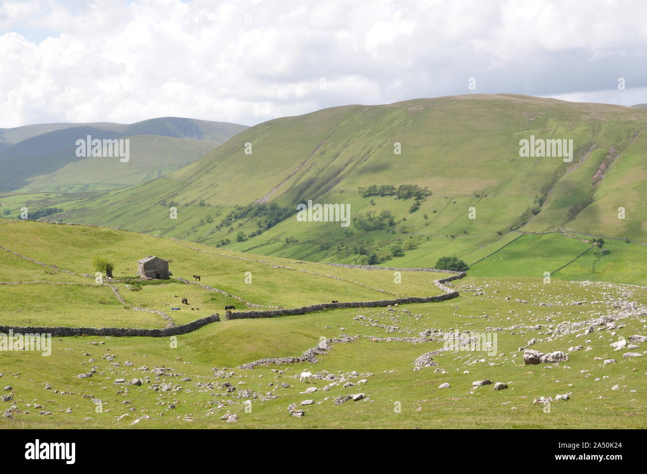 Harter Fell, Howgill fells, Cumbria Stock Photo