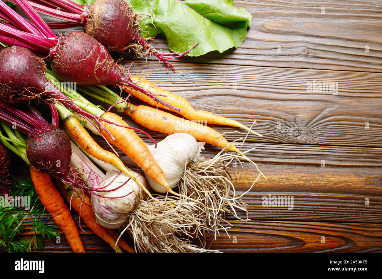 Vegetarian background of fresh organic beetroots green garlic and carrots on kitchen wooden rustic table Stock Photo