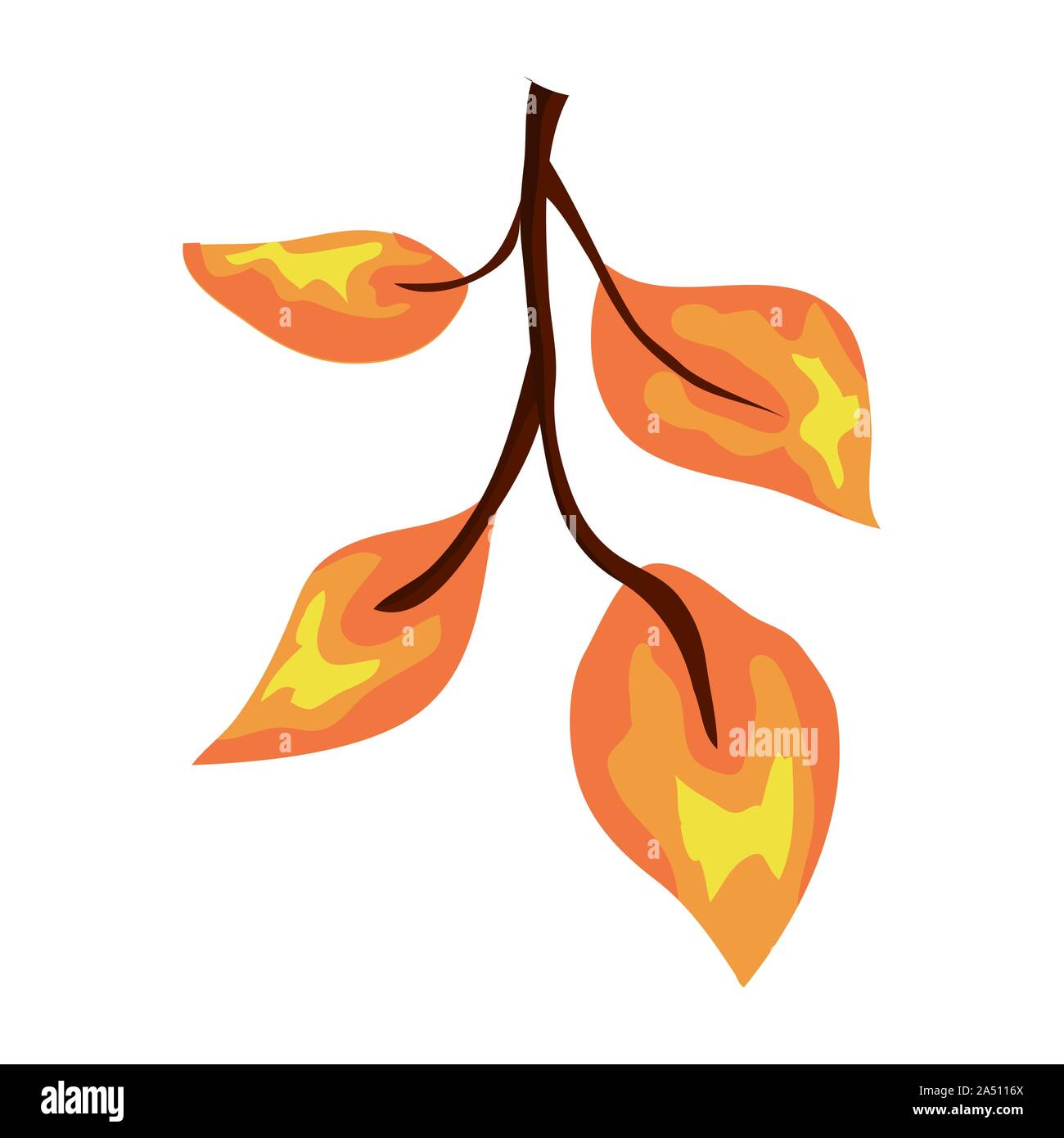 autumn branch with leafs isolated icon Stock Vector Image & Art - Alamy