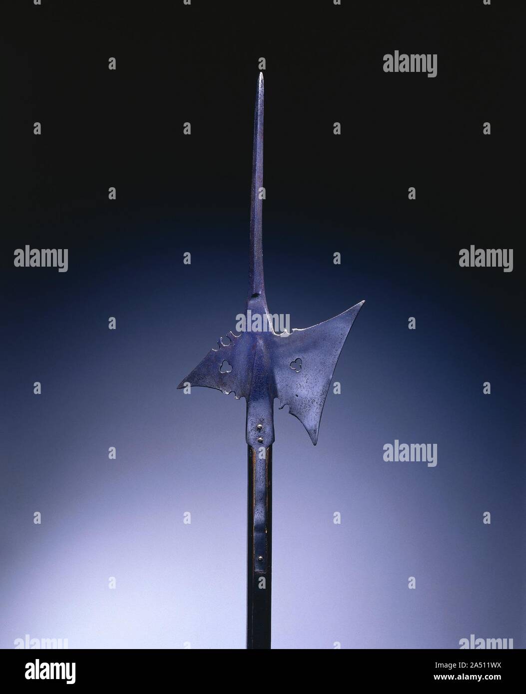 Halberd, c. 1550. The most effecient weapons used by the infantry (foot soldiers) during the 15th and 16th centuries were pole arms (or staff weapons). The halberd, like the examples shown here, was a weapon of great versatility. The word  halberd  comes from the German words Halm (a staff) and Barte (an axe). The halberd is, in fact, an axe mounted on a long pole with a very specialized shape and function: the axe blade was used for hacking, the spike for thrusting, and the beak either for piercing plate armor or for pulling a knight from his saddle. Used by shock troops, the halberd was the Stock Photo