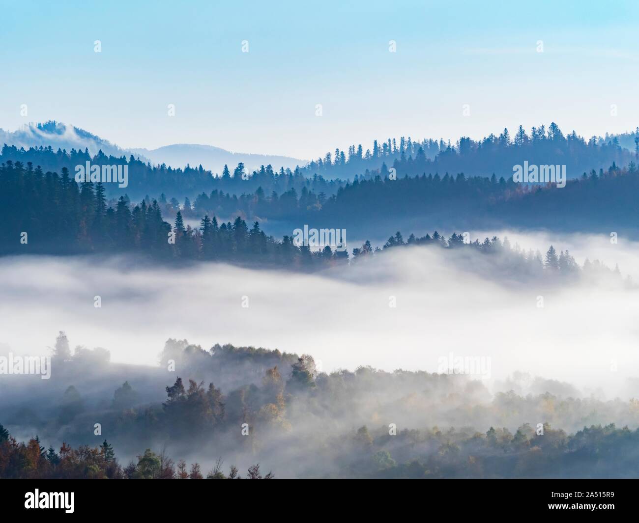 Morning fog in forest country-side countryside Mrzla vodica in Croatia Stock Photo