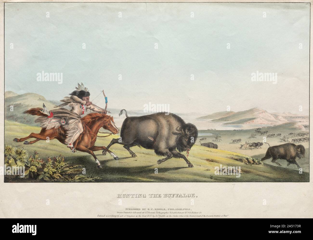 Hunting the Buffalo, 1837. Stock Photo