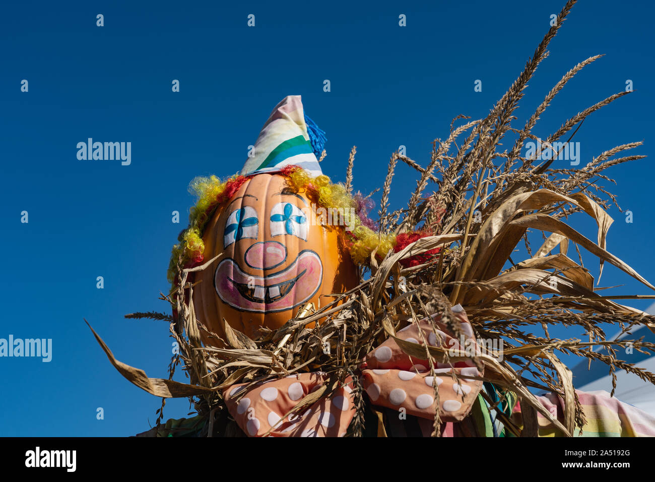 Merrymead farm hires stock photography and images Alamy