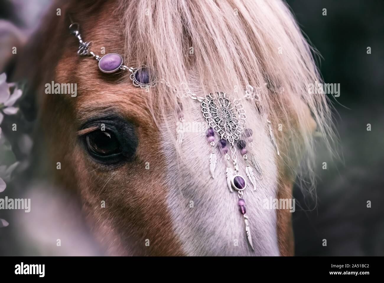 Jewellery for horses outlet