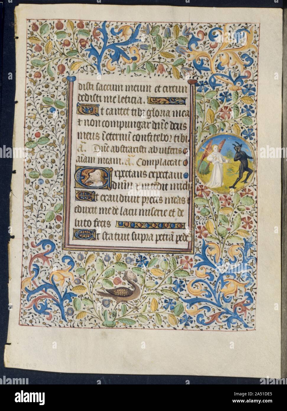 Leaf from a Book of Hours: Angel Chasing a Devil (recto) and Two Devils (verso), c. 1460. The elaborate floral and foliated borders of this leaf, decorating the top, bottom, and sides of both recto and verso, contain four separate elements: blue and gold acanthus leaves, gold-leaf ivy vines, sprays of flowers or fruit, and a grotesque. Here the margin prominently includes an illuminated roundel with an angel chasing a devil with a lance. As a time-saving device, illuminators in the 1450s and later would often paint identical borders on both sides of a leaf. The motifs would be drawn on one sid Stock Photo