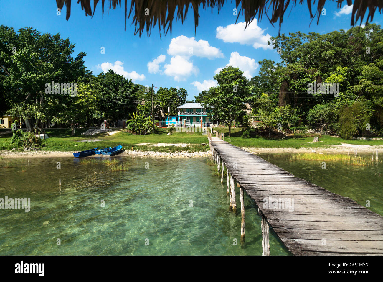View from the dock to the green jungle of Peten, El Remate, Guatemala Stock Photo