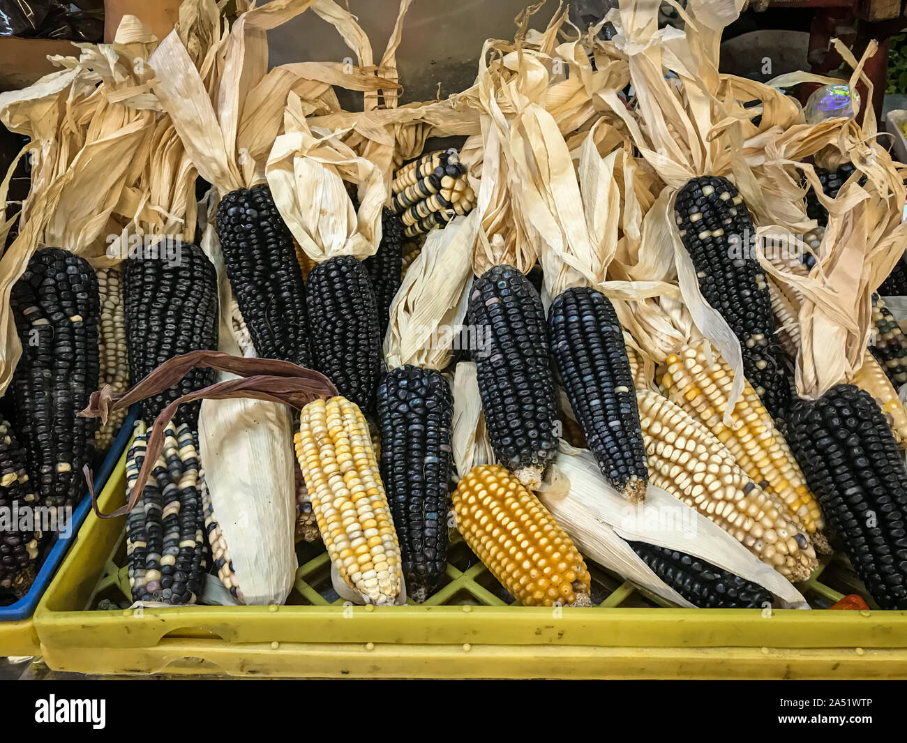 Blue and yellow corn dehydrated for sale in mexican marketplace. Stock Photo