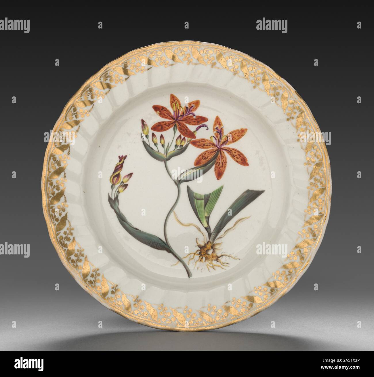 Plate from Dessert Service: Chinese Ixia, c. 1800. Each dish is decorated  with recognizable plants, the names of which are inscribed on the base in  both Latin and English. Identifying the blossoms