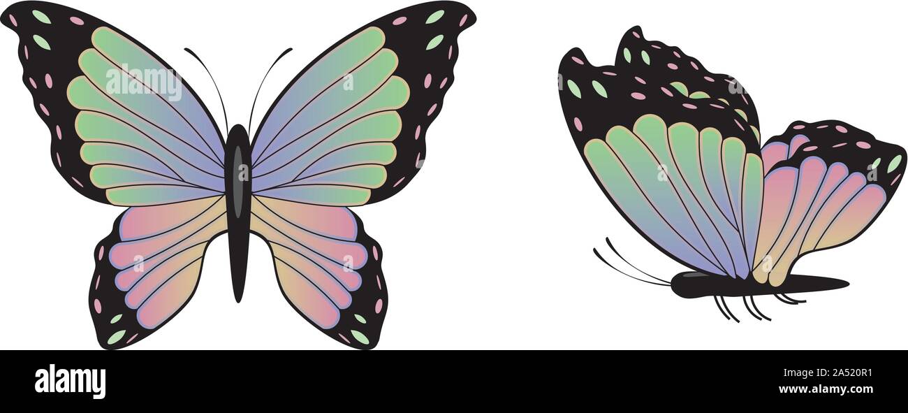 Abstract colorful butterfly illustration on white background Stock ...