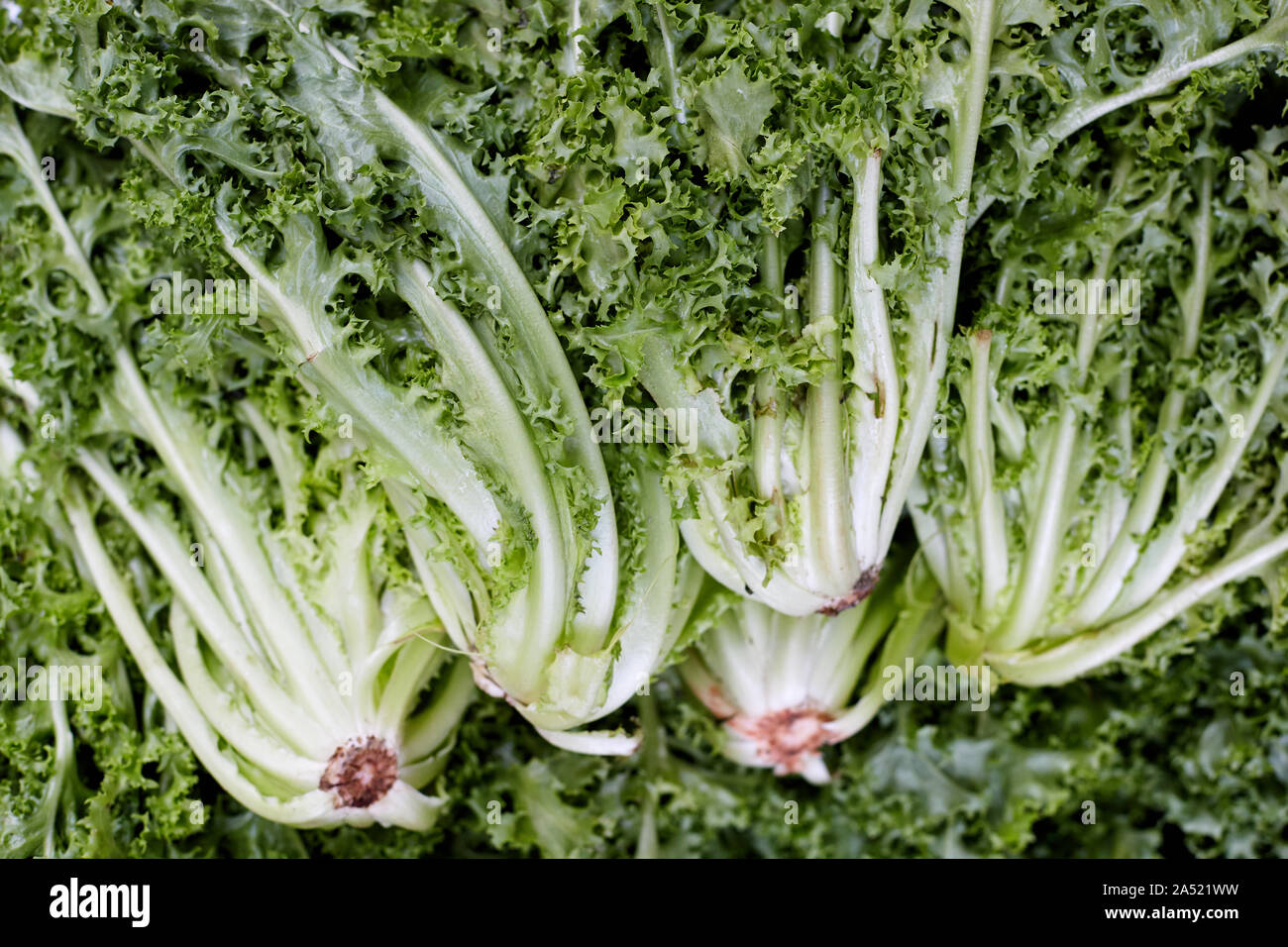 fresh green vegetables as background. Stock Photo