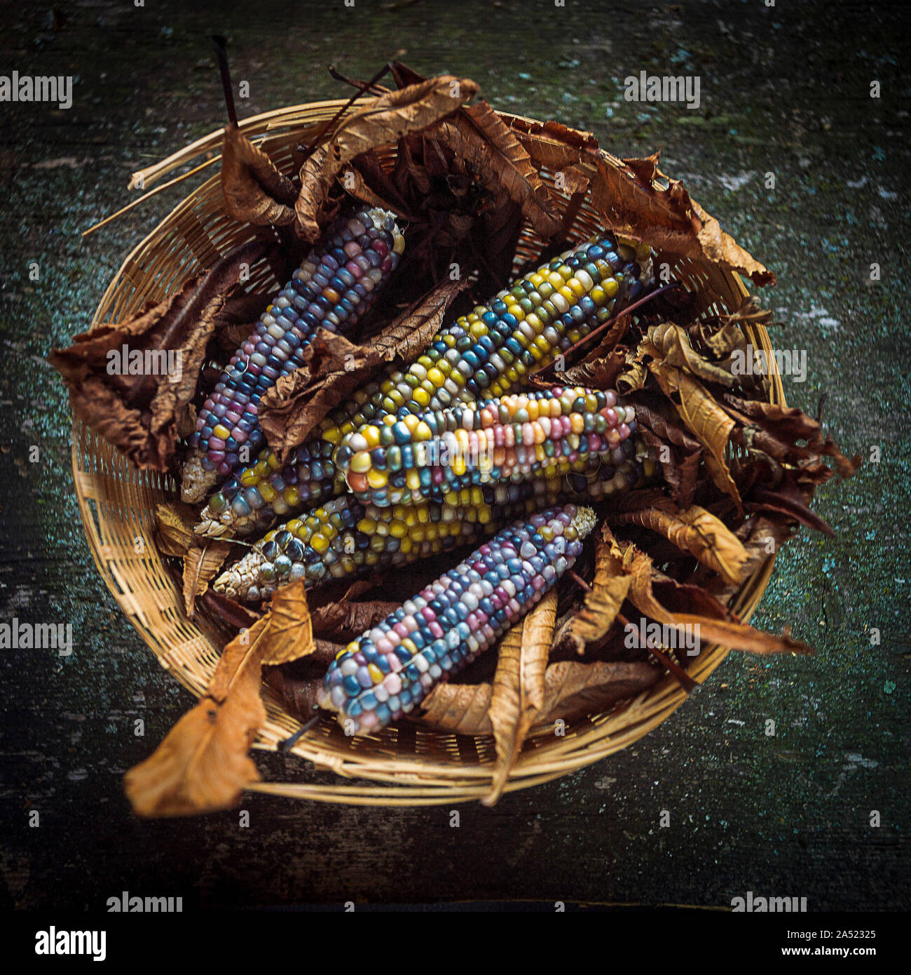 Multicolored corn in a basket Stock Photo
