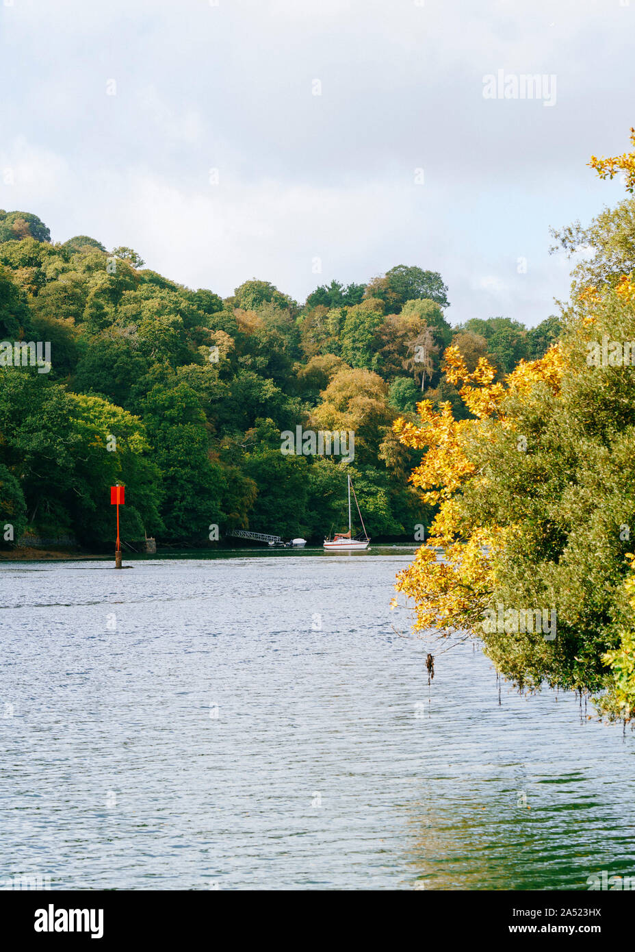 The grounds of Greenway, a house overlooking the river Dart, which