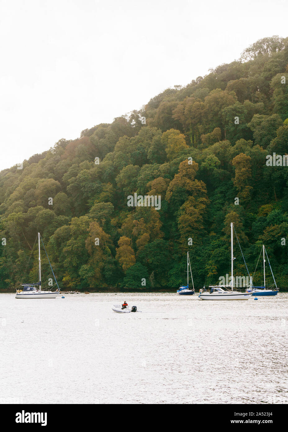 The grounds of Greenway, a house overlooking the river Dart, which