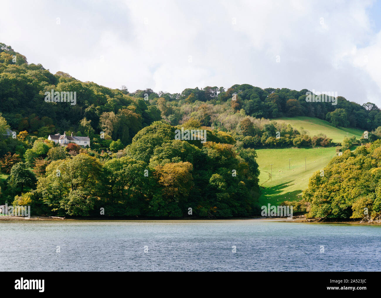 The grounds of Greenway, a house overlooking the river Dart, which