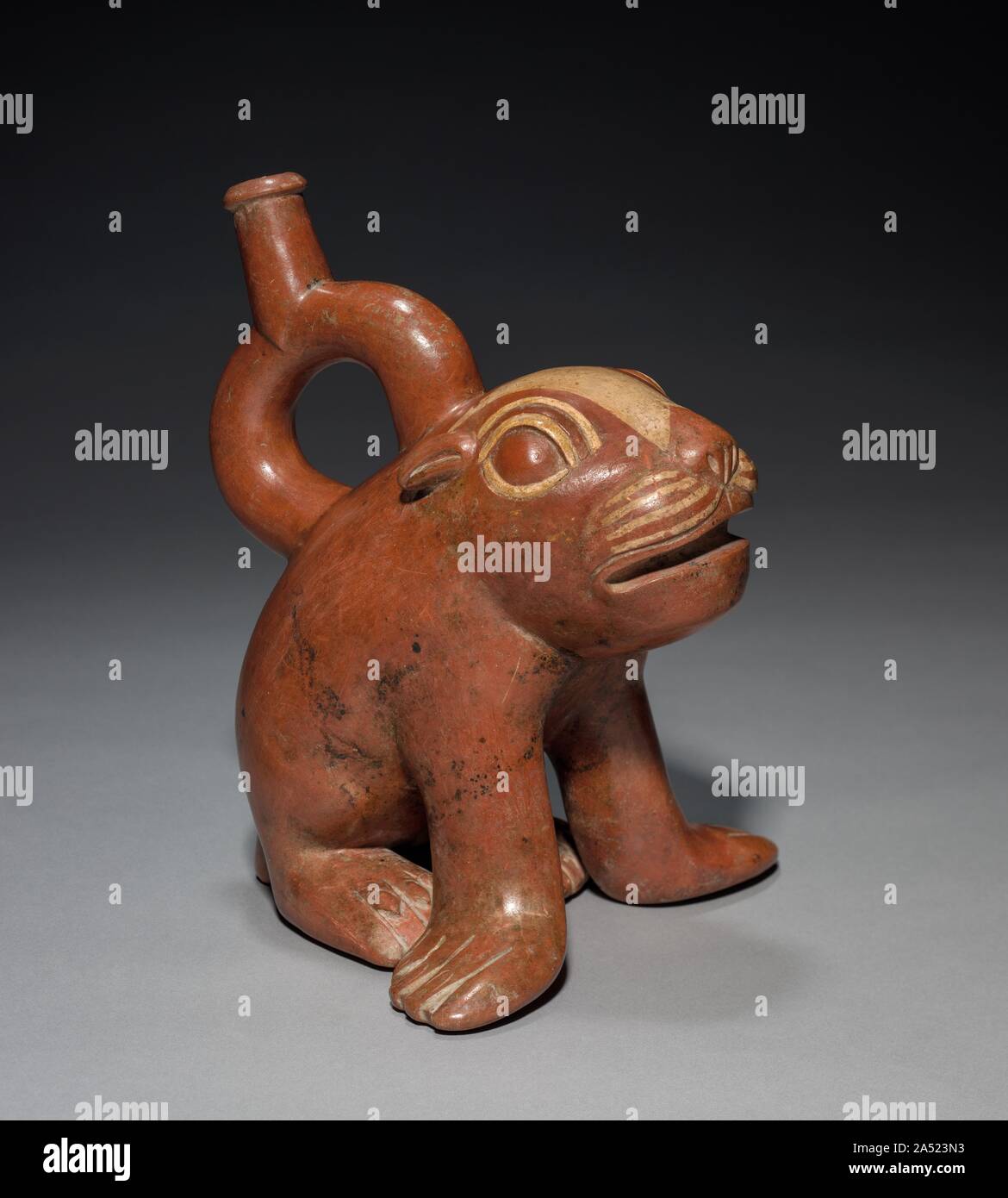 Sea Lion Pup Vessel, 200-850. Sea lions commonly appear in Moche art as effigy vessels, like this appealing pup, or in complex scenes that often show them as the targets of human hunters. They may have been prized in part for the beach pebbles found in their stomachs; modern Peruvian folk healers consider such pebbles to have powerful medicinal qualities. Also, colonial-period natives believed that sea lions carried the dead to off-shore islands, an idea that could date to Moche times. Stock Photo