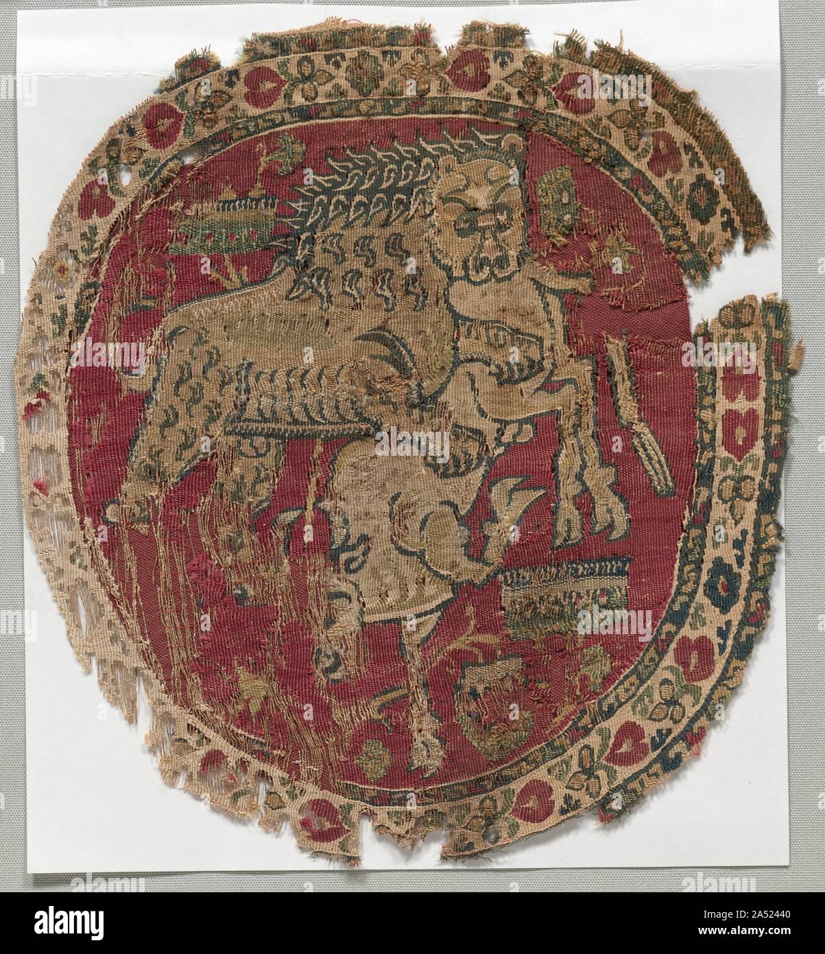 Segmentum from a Tunic, 750 - 799. A fierce lion with a pronounced mane is shown taking down a large bull on a prestigious red ground with stylized trees and plants. Both animals appear to be lunging toward us, the viewer. The border displays a formal wreath of rosettes. This roundel and two additional matching examples suggest that they originally decorated the front and back of a tunic. The scene is presumably an abbreviated reference to the royal hunt, one of the pleasures of the court that served as propaganda to legitimize the sovereignty of rulers by confirming their ability to control n Stock Photo