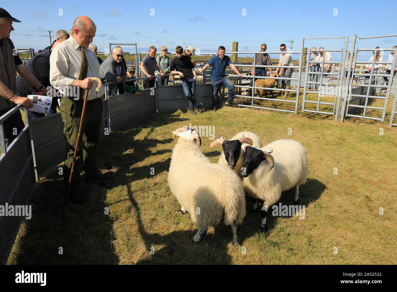 South Uist Agricultural Show 2024 Date Reta Vannie