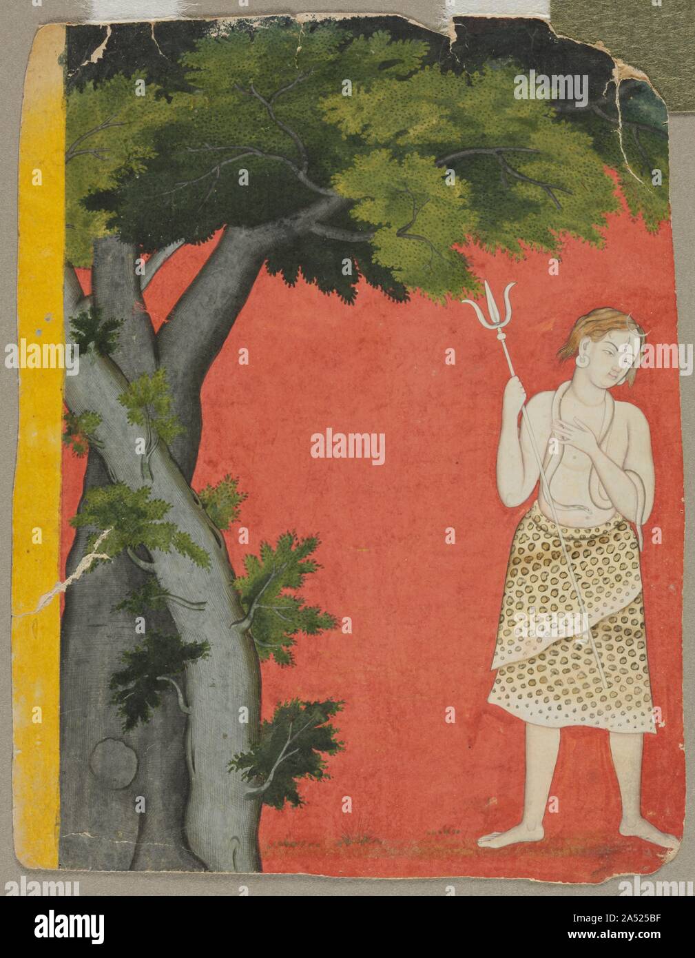 Shiva Under Trees, c. 1780. Cut from a larger composition, this fragment shows the god Shiva who has come down to earth. He seems alluringly approachable despite his white body, the snake around his neck, his third eye, trident weapon, animal-skin garment, and the crescent moon at his brow. Set off against a flat red background, he stands under two shade trees that make his manifestation on earth believable. One tree is entwined around the other, metaphorically suggesting the physical love Shiva seems to wistfully desire. Stock Photo