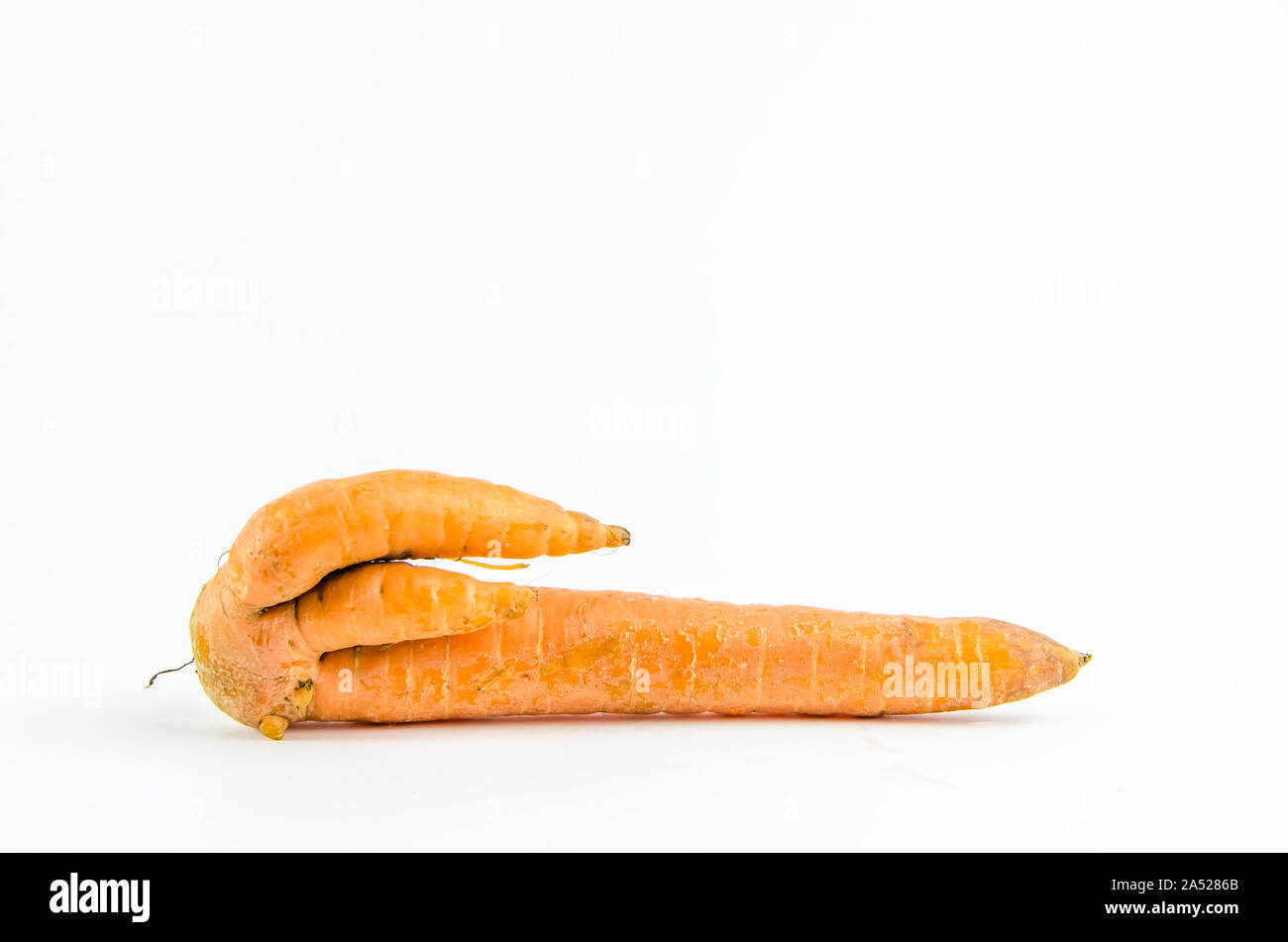 oh my gerd carrots clipart