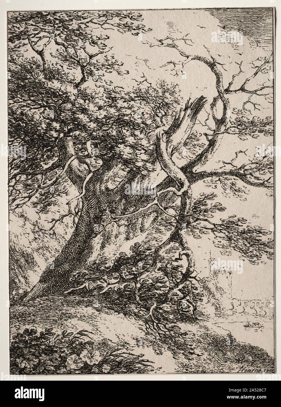 Specimens of Polyautography: Landscape with an Oak Tree, 1803. The first portfolio of artists&#x2019; lithographs was published in 1803, just five years after Alois Senefelder invented the medium in Munich in 1798. Entitled Specimens of Polyautography, the publication included twelve lithographs by British, French, German, and Swiss artists. Figures contemplating the landscape and atmospheric tree studies were dominant subjects among these early pen lithographs. Stock Photo