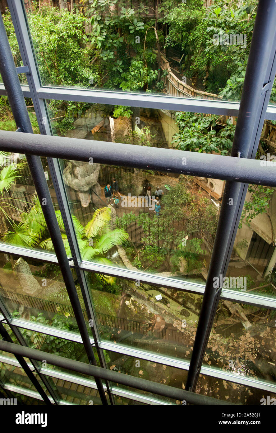 The 'Rainforest' department, Universeum in Gothenburg - shows tropical animals in their natural environment.Photo Jeppe Gustafsson* Stock Photo