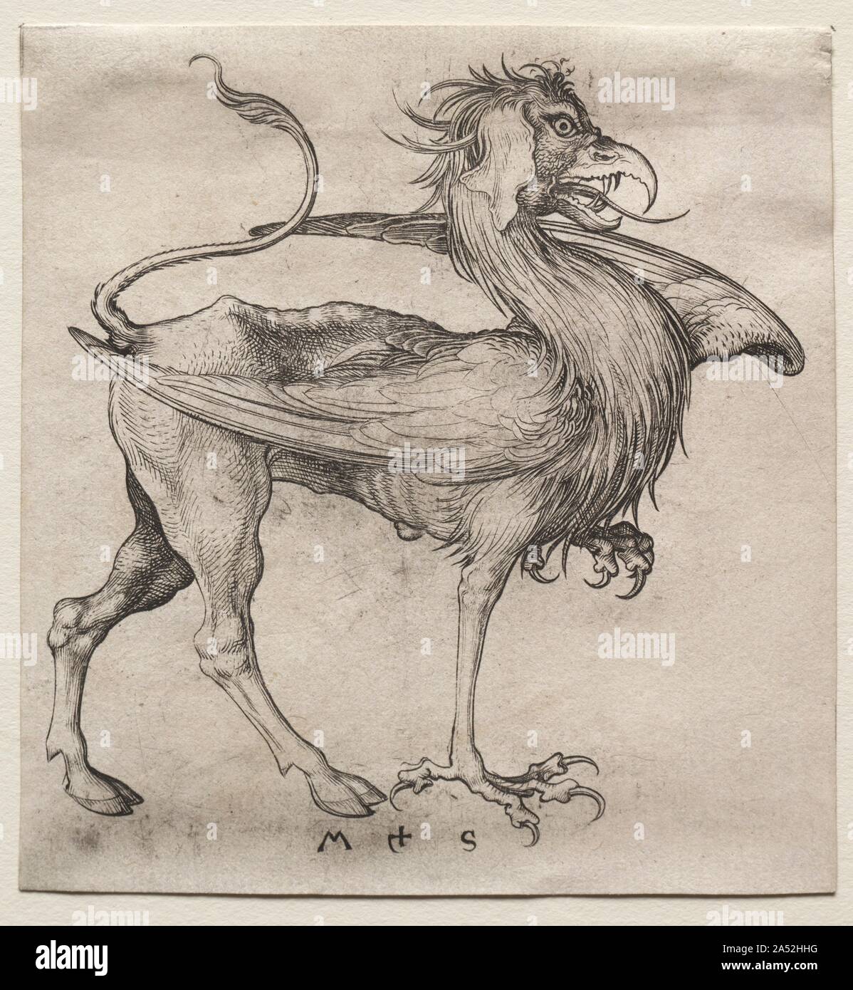 The Griffin, 1400s. Stock Photo