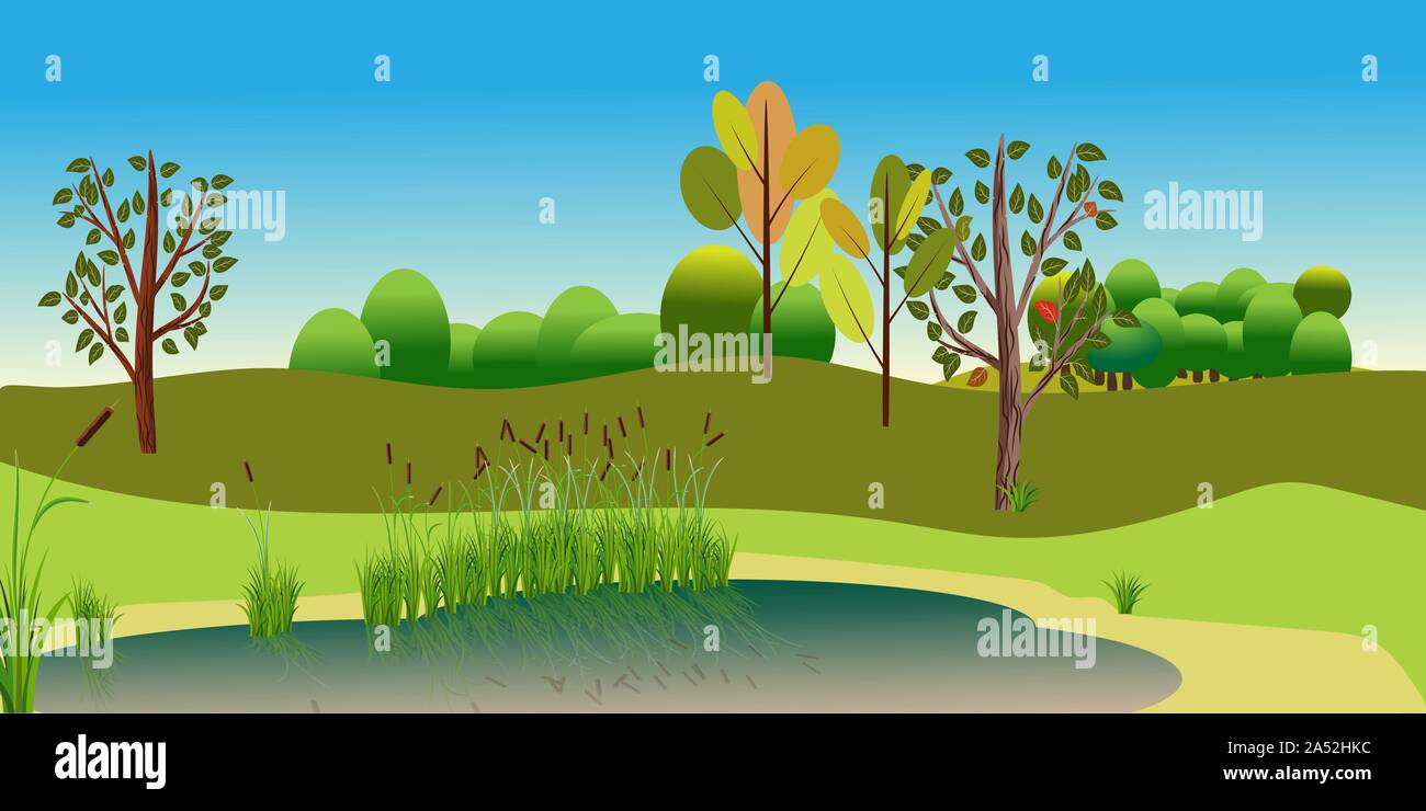 Vector Landscape with attractive view lake and forest. Reed plants and sand on the lake beach. Attractive nature landscape for nature decor Stock Vector