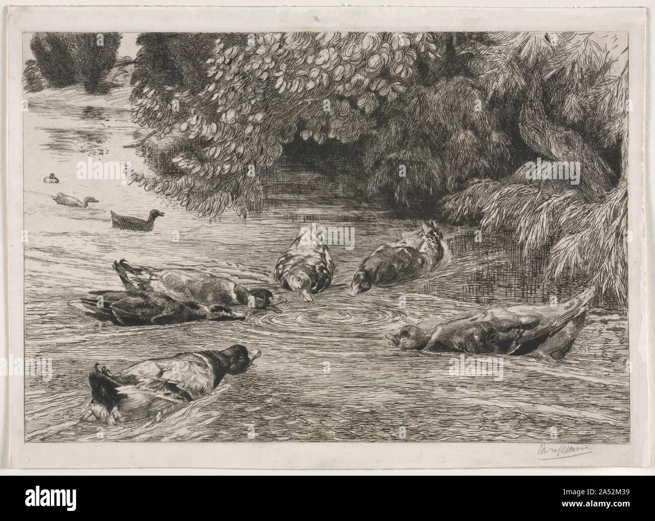 The Question Mark, c. 1865 Stock Photo Alamy