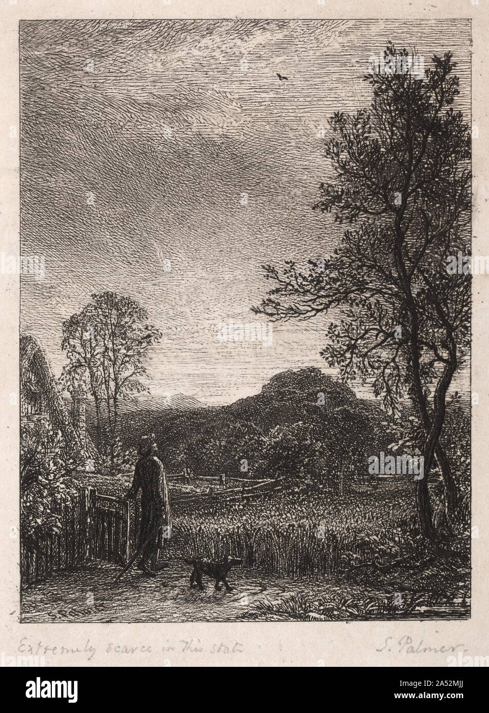 The Skylark, 1850. Palmer came to printmaking relatively late in his career in 1850 when he was elected to the Etching Club in London. He created a significant number of landscape etchings, intricate in detail and sonorous in chiaroscuro. In The Skylark, one of Palmer&#x2019;s earliest compositions, a solitary figure in a rural landscape contemplates the flight of a songbird. Palmer has been compared to the German Romantic artist Caspar David Friedrich (also in this exhibition), who produced images infused with a similarly indefinable atmosphere of calm, mystery, and breathless silence. Stock Photo