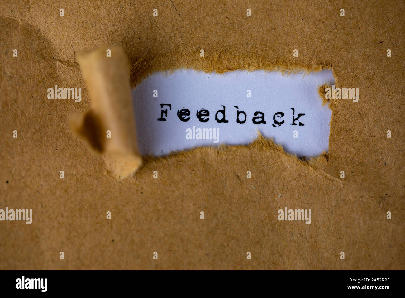 The text, feedback, appears behind torn brown paper Stock Photo